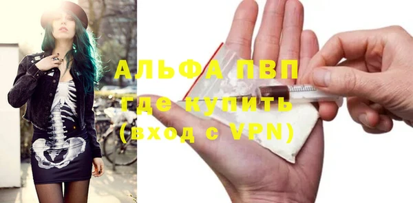 индика Белокуриха