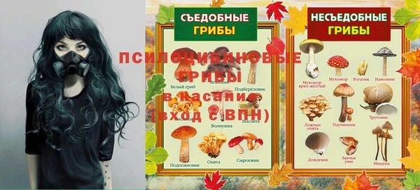стафф Балахна