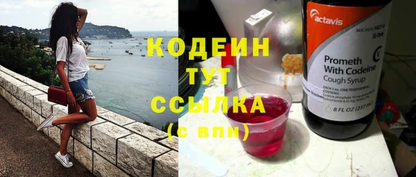 индика Белокуриха