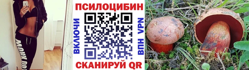 Псилоцибиновые грибы Psilocybine cubensis  Купить закладки  Большой Камень 